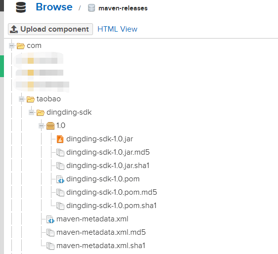 nexus私服图片